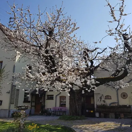 Lägenhet Zum-alten-kirschbaum *