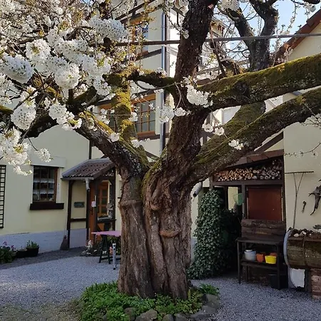 Zum-alten-kirschbaum