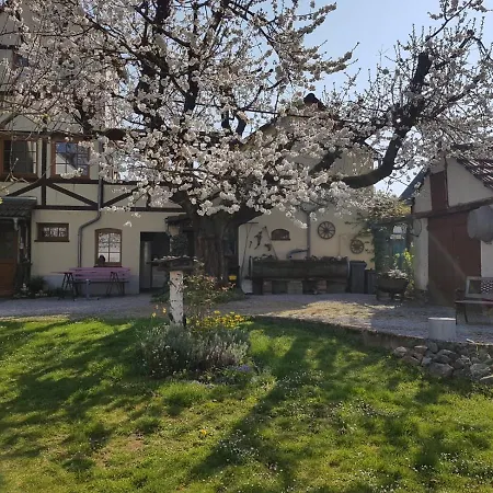Zum-alten-kirschbaum Apartamento *