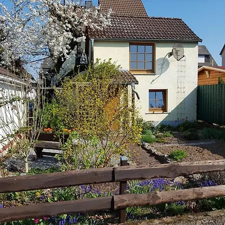 Lägenhet Zum-alten-kirschbaum