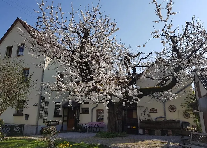 Apartamento Zum-alten-kirschbaum *