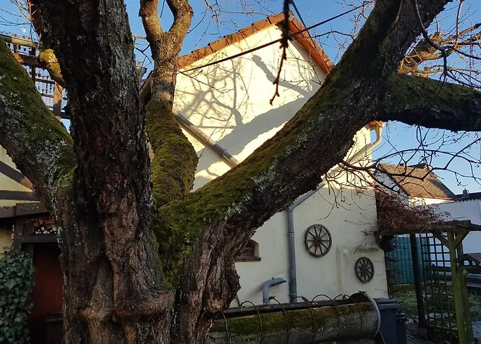 Zum-alten-kirschbaum